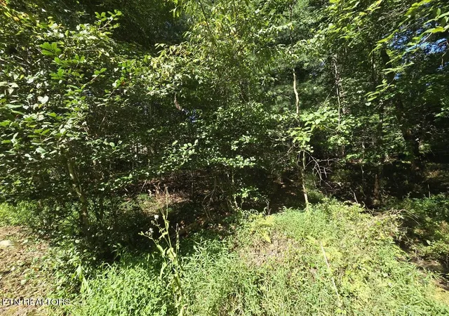Photo 2 of Land for sale at 16 Holly Ct, Crossville, TN 38558 | MLS# 1352972 | Listing updated on 2026-08-24