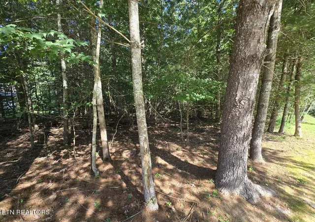 Photo 3 of Land for sale at 16 Holly Ct, Crossville, TN 38558 | MLS# 1352972 | Listing updated on 2026-08-24