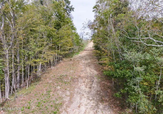 Photo 3 of Land for sale at 74 Ac Helms Hollow Road, Silver Point, TN 38582 | MLS# 1353146 | Listing updated on 2026-08-26