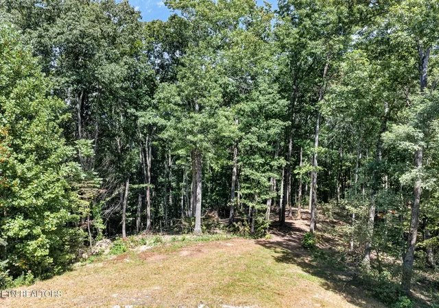 Photo 3 of Land for sale at Lot 40 Pioneer Trail Ln, Crawford, TN 38554 | MLS# 1353128 | Listing updated on 2026-09-14