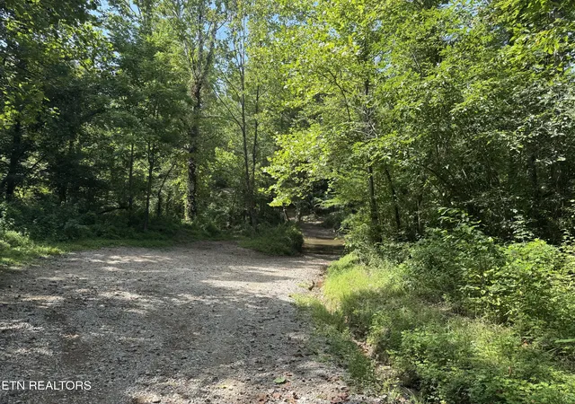 Photo 1 of Land for sale at 0 Brimstone Creek, Robbins, TN 37852 | MLS# 1353089 | Listing updated on 2026-08-26