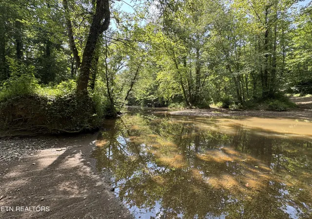 Photo 3 of Land for sale at 0 Brimstone Creek, Robbins, TN 37852 | MLS# 1353089 | Listing updated on 2026-08-26