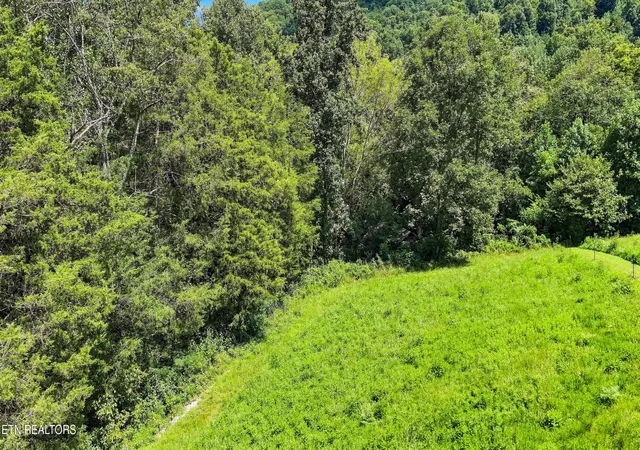 Photo 42 of Sale Pending at 428 Green Welch Rd, Washburn, TN 37888 | MLS# 1353084 | Listing updated on 2026-09-02