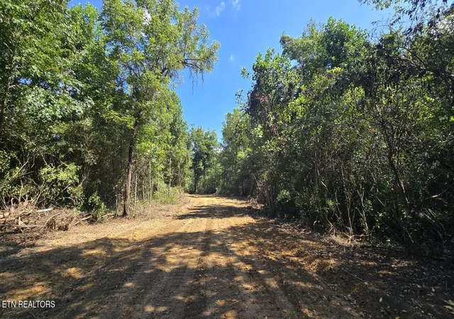 Photo 1 of Land for sale at 0 New River Rd, Huntsville, TN 37756 | MLS# 1353098 | Listing updated on 2026-10-09
