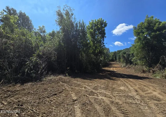 Photo 4 of Land for sale at 0 New River Rd, Huntsville, TN 37756 | MLS# 1353098 | Listing updated on 2026-10-09
