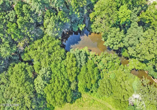 Photo 3 of Land for sale at Daddys Creek Tr, Crab Orchard, TN 37723 | MLS# 1353157 | Listing updated on 2026-08-26