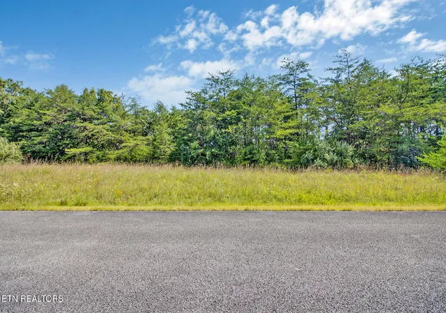 Photo 3 of Land for sale at Daddys Creek Tr, Crab Orchard, TN 37723 | MLS# 1353157 | Listing updated on 2026-08-26