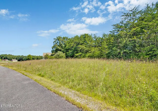 Photo 4 of Land for sale at Daddys Creek Tr, Crab Orchard, TN 37723 | MLS# 1353157 | Listing updated on 2026-08-26
