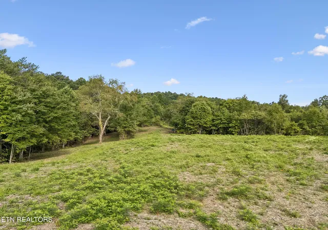 Photo 3 of Sale Pending at Sheep Ranch Rd Tract 3 Rd, Robbins, TN 37852 | MLS# 1353254 | Listing updated on 2026-10-05