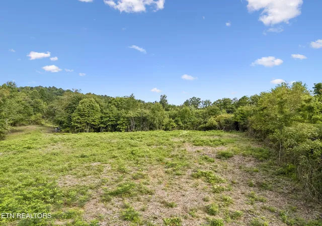 Photo 3 of Sale Pending at Sheep Ranch Rd Tract 3 Rd, Robbins, TN 37852 | MLS# 1353254 | Listing updated on 2026-10-05