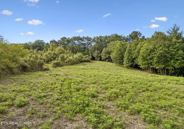 Photo 4 of Sale Pending at Sheep Ranch Rd Tract 3 Rd, Robbins, TN 37852 | MLS# 1353254 | Listing updated on 2026-10-05