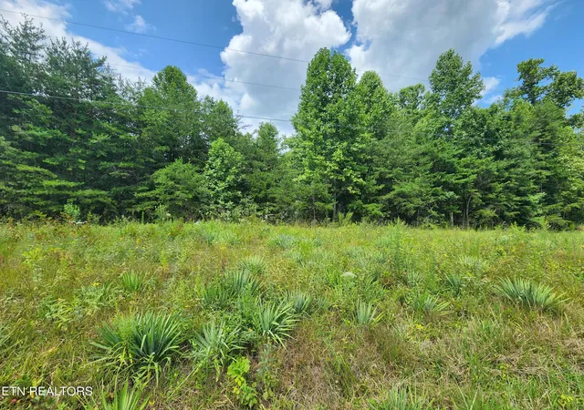 Photo 3 of Land for sale at Twin Bridge Rd, Deer Lodge, TN 37726 | MLS# 1353194 | Listing updated on 2026-08-26