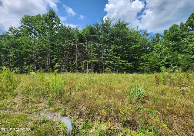 Photo 3 of Land for sale at Twin Bridge Rd, Deer Lodge, TN 37726 | MLS# 1353194 | Listing updated on 2026-08-26
