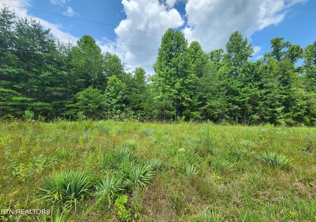 Photo 4 of Land for sale at Twin Bridge Rd, Deer Lodge, TN 37726 | MLS# 1353194 | Listing updated on 2026-08-26