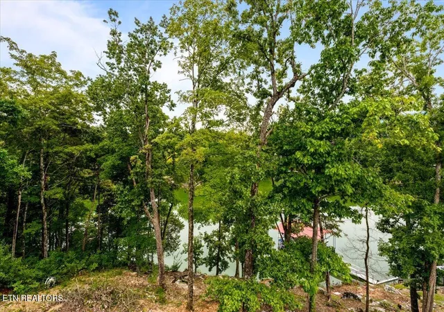 Photo 2 of Single family home for sale at Tbd Bluff Trace Trace, Jacksboro, TN 37757 | MLS# 1353372 | Listing updated on 2026-08-28