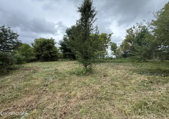 Photo 3 of Land for sale at 141 Butternut Ridge Rd, Crossville, TN 38571 | MLS# 1353210 | Listing updated on 2026-09-11