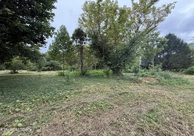 Photo 3 of Land for sale at 141 Butternut Ridge Rd, Crossville, TN 38571 | MLS# 1353210 | Listing updated on 2026-09-11