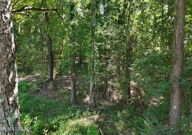 Photo 2 of Land for sale at 000 Fezzell Rd, Decatur, TN 37322 | MLS# 1353293 | Listing updated on 2026-10-07