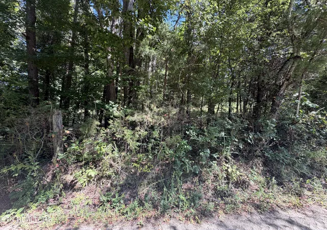 Photo 3 of Land for sale at 000 Fezzell Rd, Decatur, TN 37322 | MLS# 1353293 | Listing updated on 2026-10-07