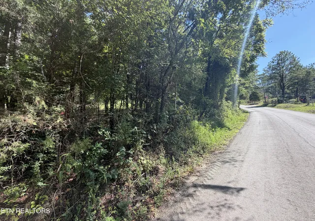 Photo 4 of Land for sale at 000 Fezzell Rd, Decatur, TN 37322 | MLS# 1353293 | Listing updated on 2026-10-07