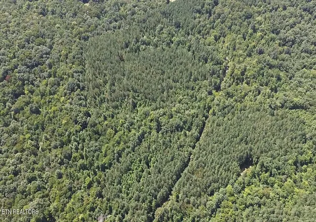 Photo 3 of Land for sale at Hurricane Ridge Rd, Allardt, TN 38504 | MLS# 1353368 | Listing updated on 2026-08-28