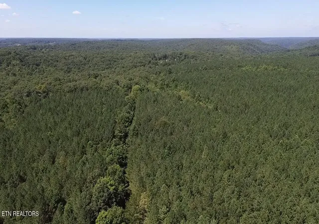 Photo 4 of Land for sale at Hurricane Ridge Rd, Allardt, TN 38504 | MLS# 1353368 | Listing updated on 2026-08-28