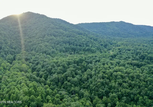 Photo 2 of Land for sale at Smith Creek Rd, Winfield, TN 37892 | MLS# 1353285 | Listing updated on 2026-08-27