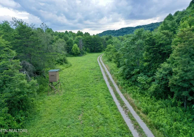 Photo 3 of Land for sale at Smith Creek Rd, Winfield, TN 37892 | MLS# 1353285 | Listing updated on 2026-08-27