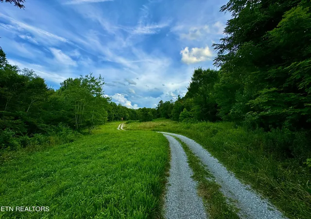 Photo 3 of Land for sale at Smith Creek Rd, Winfield, TN 37892 | MLS# 1353285 | Listing updated on 2026-08-27