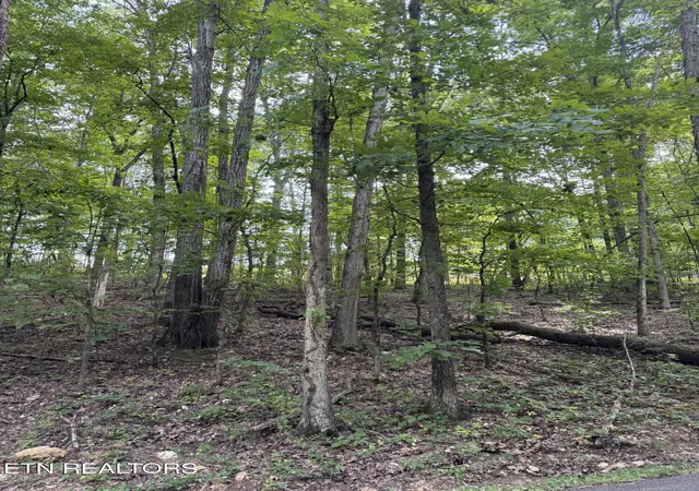Photo 1 of Sale Pending at 1ac Sunnyside Rd, Philadelphia, TN 37846 | MLS# 1353328 | Listing updated on 2026-09-08