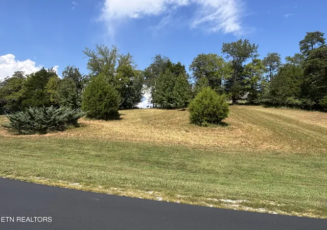 Photo 3 of Land for sale at W Shore Dr, Rockwood, TN 37854 | MLS# 1353439 | Listing updated on 2026-09-04