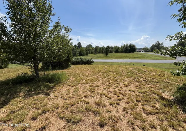 Photo 4 of Land for sale at W Shore Dr, Rockwood, TN 37854 | MLS# 1353439 | Listing updated on 2026-09-04