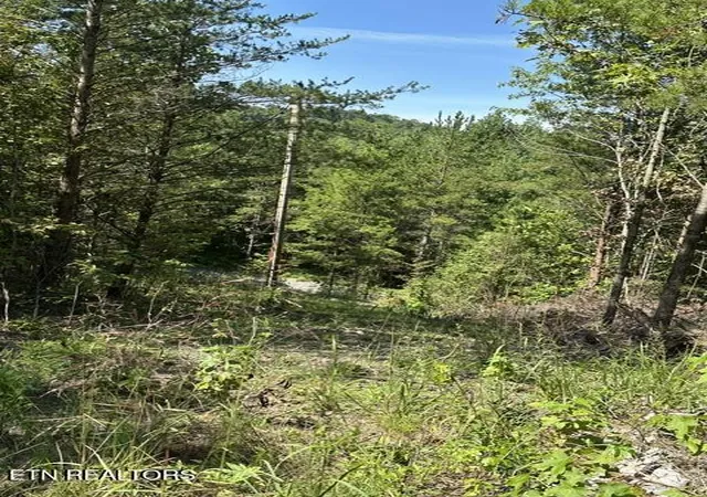 Photo 4 of Land for sale at Tbd Gobblers Knob, Pineville, KY 40977 | MLS# 1353424 | Listing updated on 2026-08-29