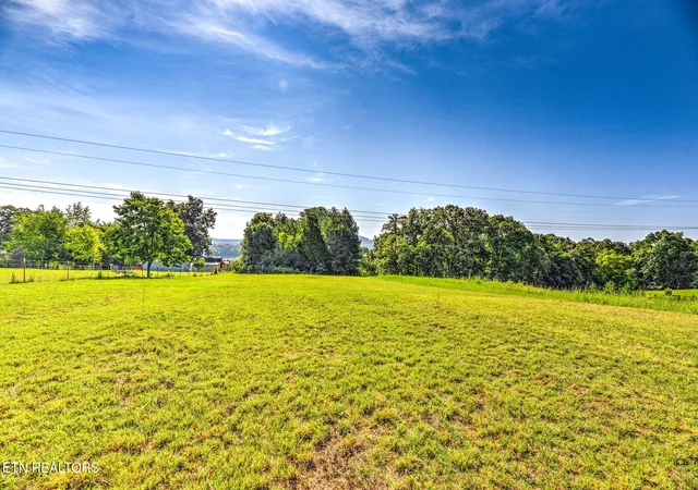 Photo 4 of Land for sale at 493 Goodner Ln, Birchwood, TN 37308 | MLS# 1353500 | Listing updated on 2026-08-28