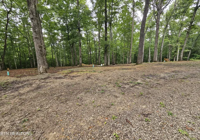 Photo 3 of Sale Pending at W Catoosa Canyon Dr Dr, Crossville, TN 38571 | MLS# 1353544 | Listing updated on 2026-09-16