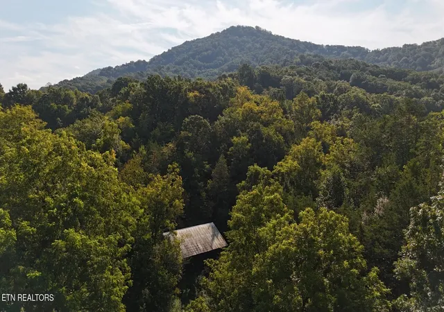 Photo 1 of Land for sale at 0 Redbud Cir, Luttrell, TN 37779 | MLS# 1353541 | Listing updated on 2026-08-28
