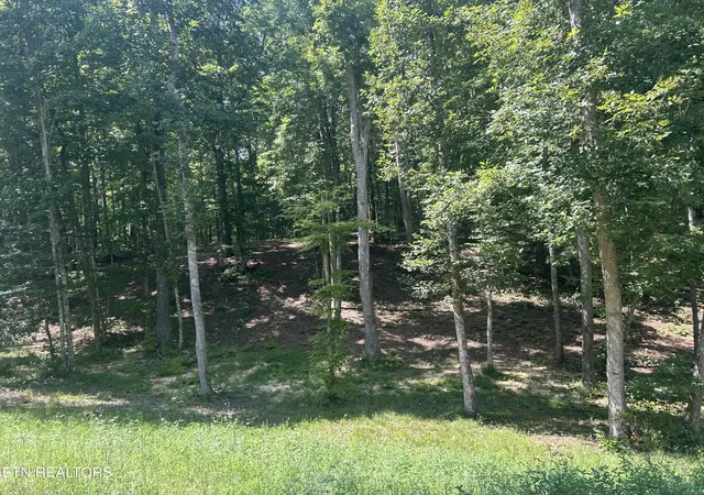 Photo 3 of Land for sale at Hard Wood Ct #30, Oneida, TN 37841 | MLS# 1353580 | Listing updated on 2026-08-28