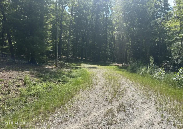 Photo 3 of Land for sale at Hard Wood Ct #30, Oneida, TN 37841 | MLS# 1353580 | Listing updated on 2026-08-28