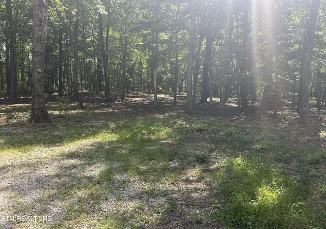 Photo 4 of Land for sale at Hard Wood Ct #30, Oneida, TN 37841 | MLS# 1353580 | Listing updated on 2026-08-28
