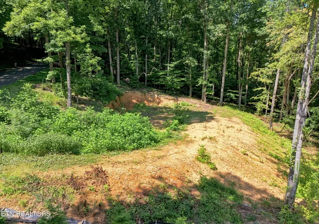 Photo 2 of Single family home for sale at 617 Skyline Dr, Clinton, TN 37716 | MLS# 1353613 | Listing updated on 2026-08-29