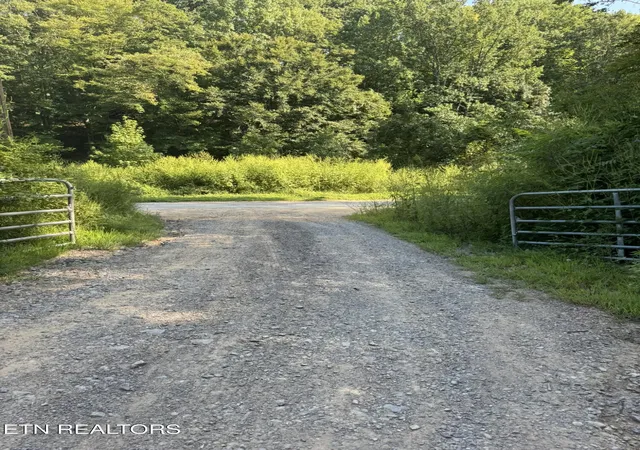 Photo 14 of Sale Pending at Lot 4a Texas Hollow Rd, Luttrell, TN 37779 | MLS# 1353674 | Listing updated on 2026-09-07
