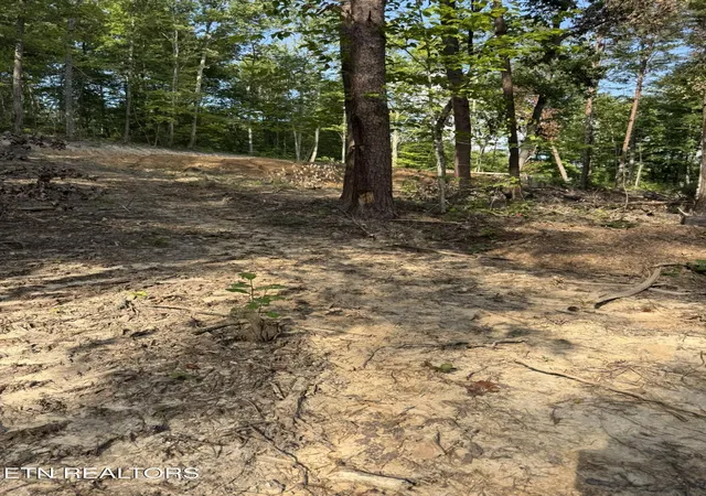 Photo 2 of Sale Pending at Lot 4A Texas Hollow Rd, Luttrell, TN 37779 | MLS# 1353674 | Listing updated on 2026-09-07