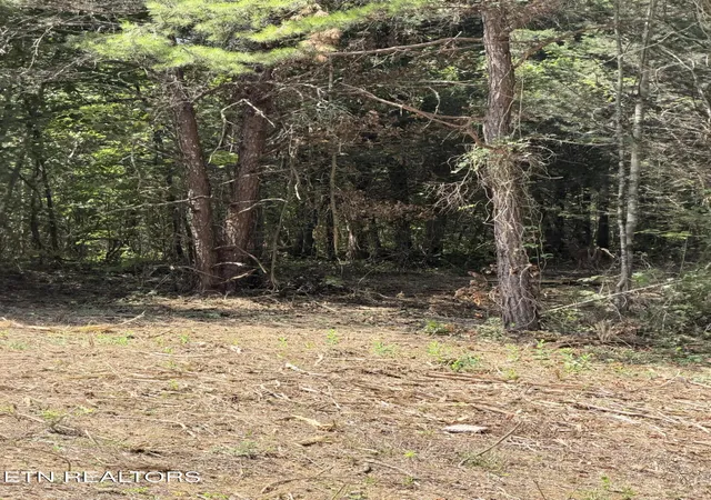 Photo 3 of Land for sale at 2534 Muddy Hollow Rd, Dandridge, TN 37725 | MLS# 1353695 | Listing updated on 2026-10-07