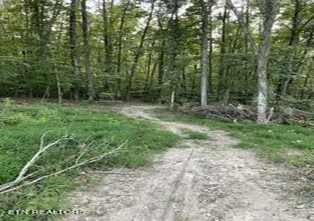 Photo 3 of Sale Pending at Wells Rd, Powell, TN 37849 | MLS# 1353713 | Listing updated on 2026-09-03