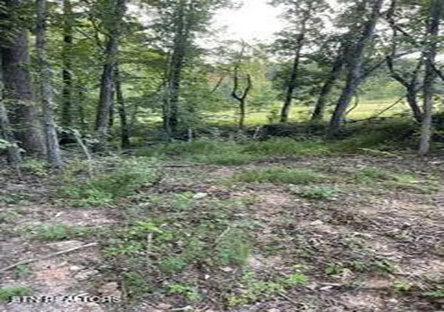 Photo 4 of Sale Pending at Wells Rd, Powell, TN 37849 | MLS# 1353713 | Listing updated on 2026-09-03