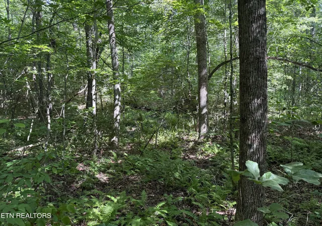 Photo 1 of Land for sale at Laurel Way, Monterey, TN 38574 | MLS# 1353748 | Listing updated on 2026-08-31