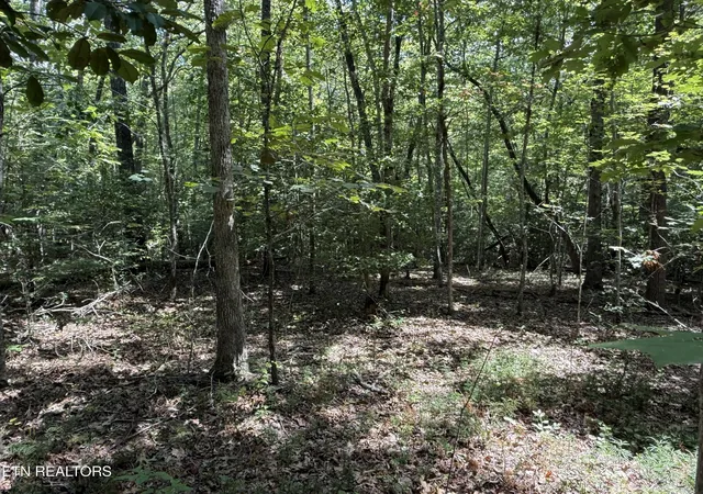 Photo 2 of Land for sale at Laurel Way, Monterey, TN 38574 | MLS# 1353748 | Listing updated on 2026-08-31