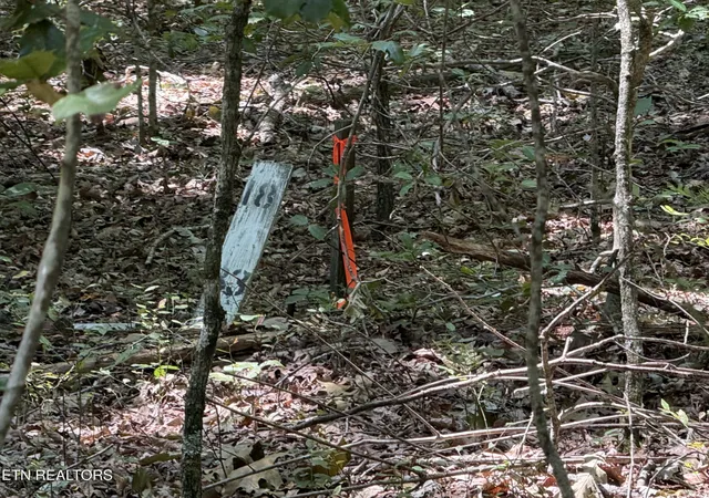 Photo 3 of Land for sale at Laurel Way, Monterey, TN 38574 | MLS# 1353748 | Listing updated on 2026-08-31