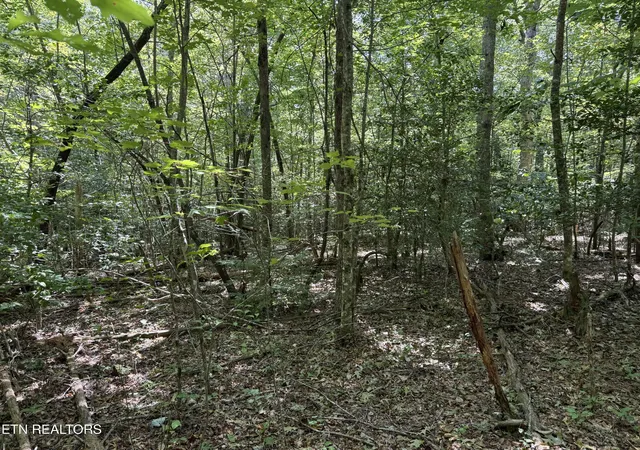 Photo 3 of Land for sale at Laurel Way, Monterey, TN 38574 | MLS# 1353748 | Listing updated on 2026-08-31