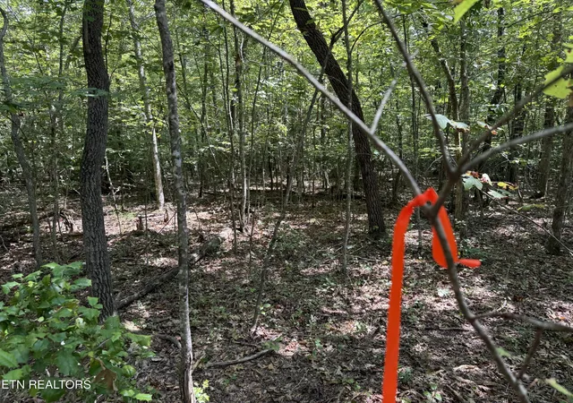 Photo 4 of Land for sale at Laurel Way, Monterey, TN 38574 | MLS# 1353748 | Listing updated on 2026-08-31